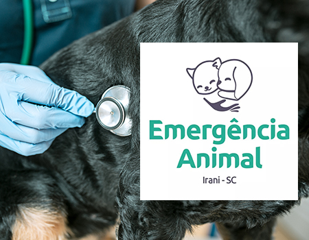Assistência para animais abandonados ou vítimas de maus tratos