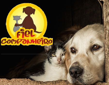 Fiel Companheiro