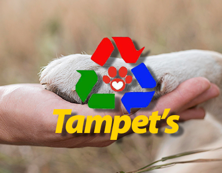 Tampet’s