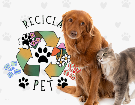 Recicla Pet
