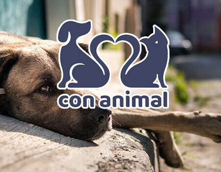 Con Animal