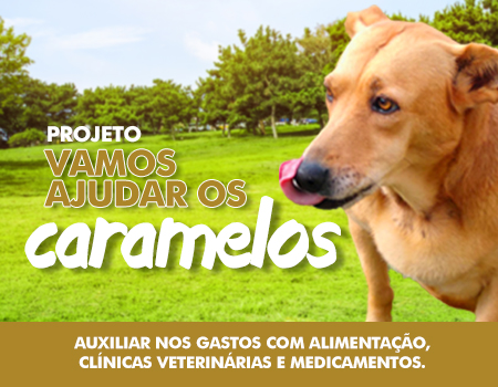 Vamos Ajudar os Caramelos