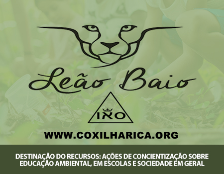 Leão Baio