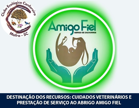 Humano de Raça Adora Vira-Lata